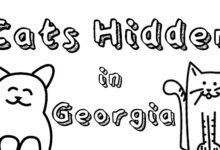 Cats Hidden in Georgia