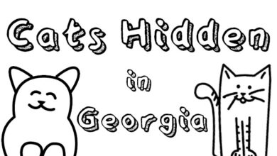 Cats Hidden in Georgia